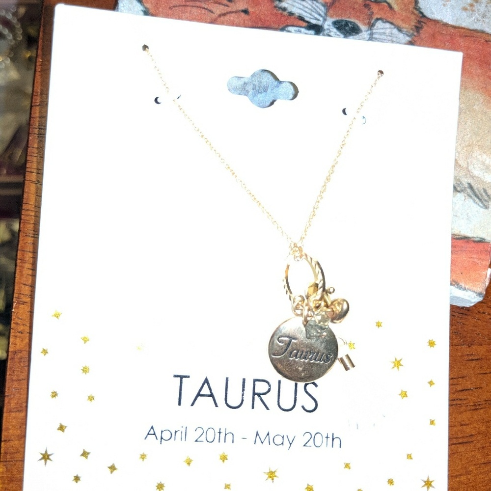 Adorable Astrological Taurus Charm Necklace